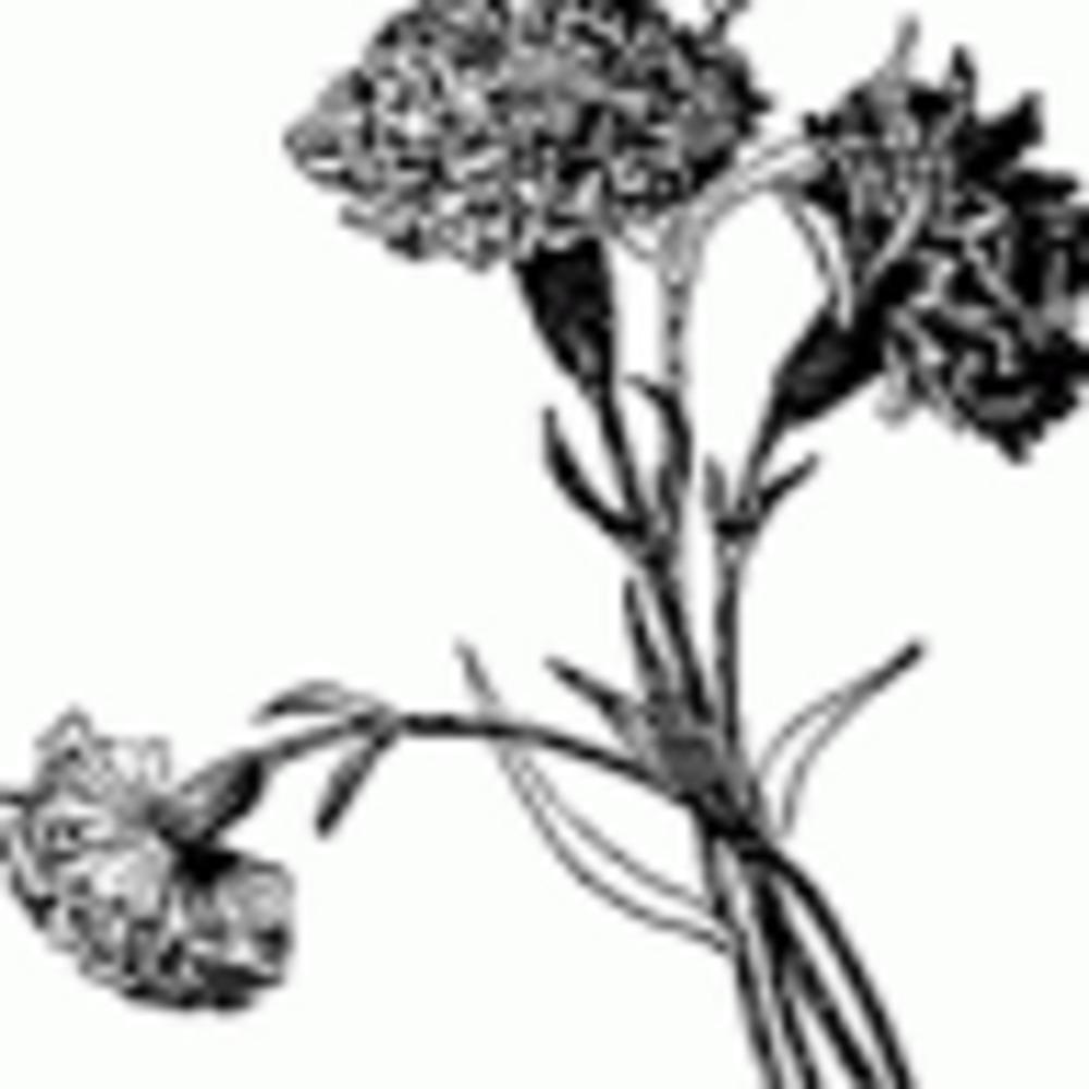 Meet your Posher, Abigail